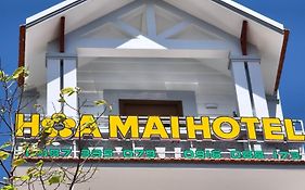 Hoa Mai